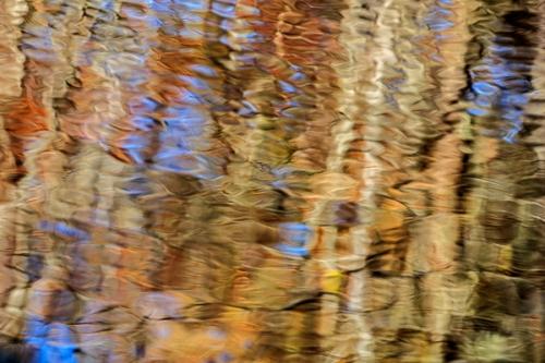 Abstract;Abstraction;Blue;Brown;Calm;Flow;Forest;Gold;Great Smoky Mountains;Great Smoky Mountains National Park;Line;Mirror;Nature;Pastoral;Ripple;River;Shape;Stream;Tan;Tennessee;United States;Warm Colors;Warm Palette;Warm Tones;Water;Woods;Yellow;color;green;lake;oneness;orange;pattern;peaceful;pond;pool;red;reflection;reflections;restful;serene;soothing;texture;tranquil;trees;zen